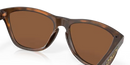 Oakley Frogskins Sunglasses Matte Tortoise OO9013 9013C5 Oakley