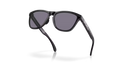 Oakley Frogskins Range Sunglasses Matte Black OO9284 928411 Oakley