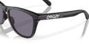 Oakley Frogskins Range Sunglasses Matte Black OO9284 928411 Oakley