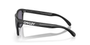 Oakley Frogskins Range Sunglasses Matte Black OO9284 928411 Oakley