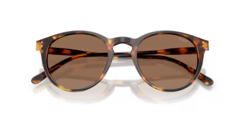 Polo Ralph Lauren Sunglasses Phantos Havana Frame PH4110 513473