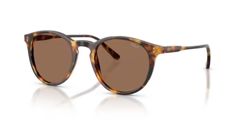 Polo Ralph Lauren Sunglasses Phantos Havana Frame PH4110 513473