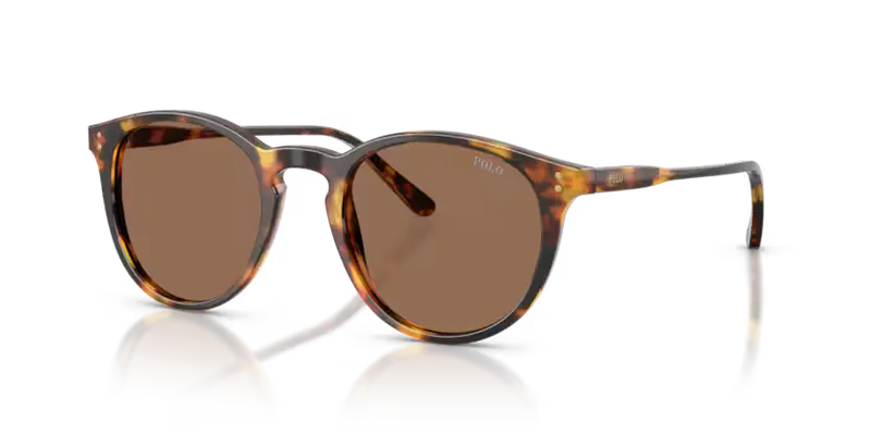 Polo Ralph Lauren Sunglasses Phantos Havana Frame PH4110 513473