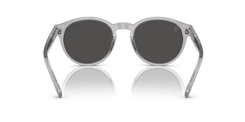 Polo Ralph Lauren Sunglasses Round Transparent Grey Frame PH4192 541387