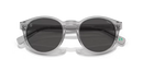 Polo Ralph Lauren Sunglasses Round Transparent Grey Frame PH4192 541387