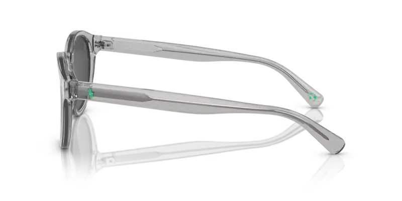 Polo Ralph Lauren Sunglasses Round Transparent Grey Frame PH4192 541387