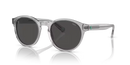 Polo Ralph Lauren Sunglasses Round Transparent Grey Frame PH4192 541387