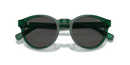 Polo Ralph Lauren Sunglasses Round Transparent Green Frame PH4192 608487