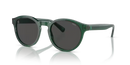 Polo Ralph Lauren Sunglasses Round Transparent Green Frame PH4192 608487