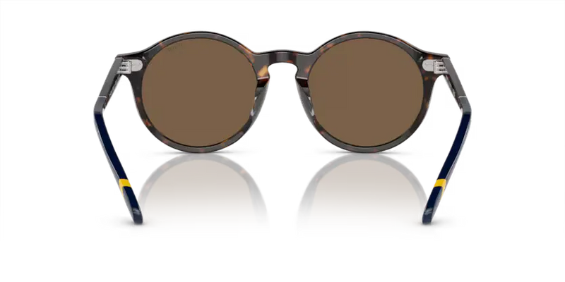 Polo Ralph Lauren Sunglasses Phantos Havana PH4204U 500373