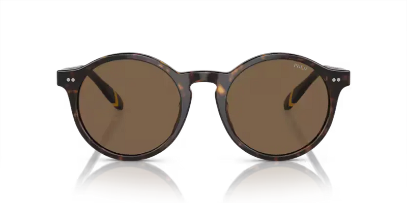 Polo Ralph Lauren Sunglasses Phantos Havana PH4204U 500373