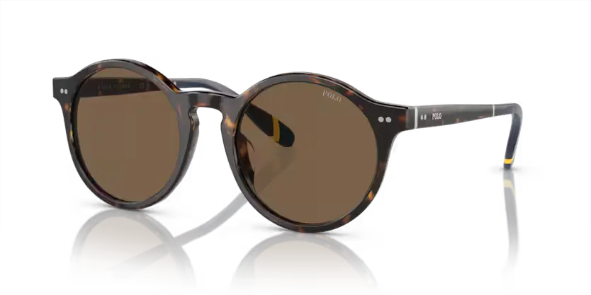 Polo Ralph Lauren Sunglasses Phantos Havana PH4204U 500373