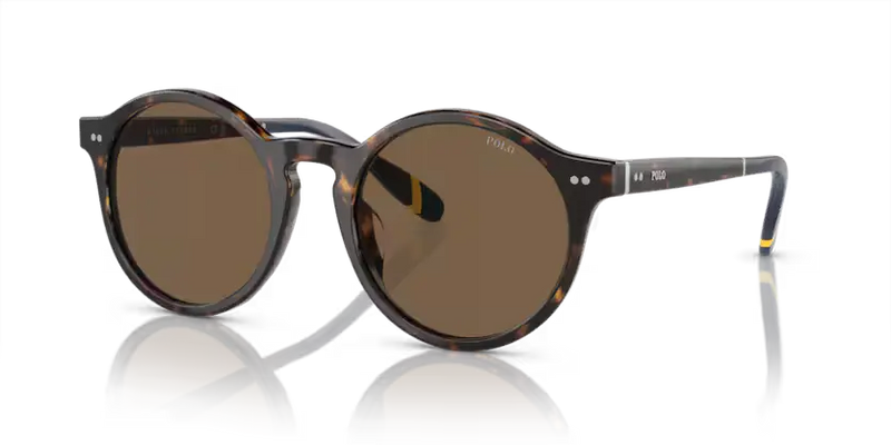 Polo Ralph Lauren Sunglasses Phantos Havana PH4204U 500373