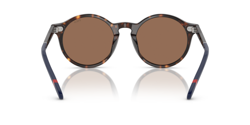 Polo Ralph Lauren Sunglasses Phantos Dark Havana PH4204U 567373