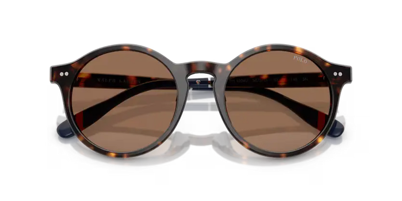 Polo Ralph Lauren Sunglasses Phantos Dark Havana PH4204U 567373