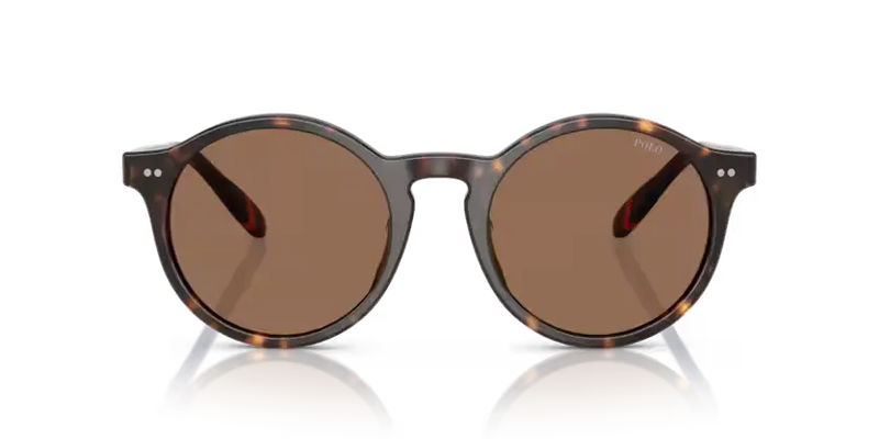Polo Ralph Lauren Sunglasses Phantos Dark Havana PH4204U 567373