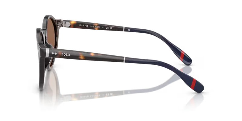 Polo Ralph Lauren Sunglasses Phantos Dark Havana PH4204U 567373