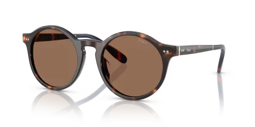 Polo Ralph Lauren Sunglasses Phantos Dark Havana PH4204U 567373