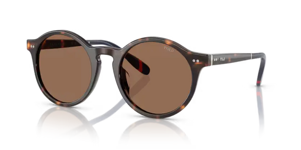 Polo Ralph Lauren Sunglasses Phantos Dark Havana PH4204U 567373