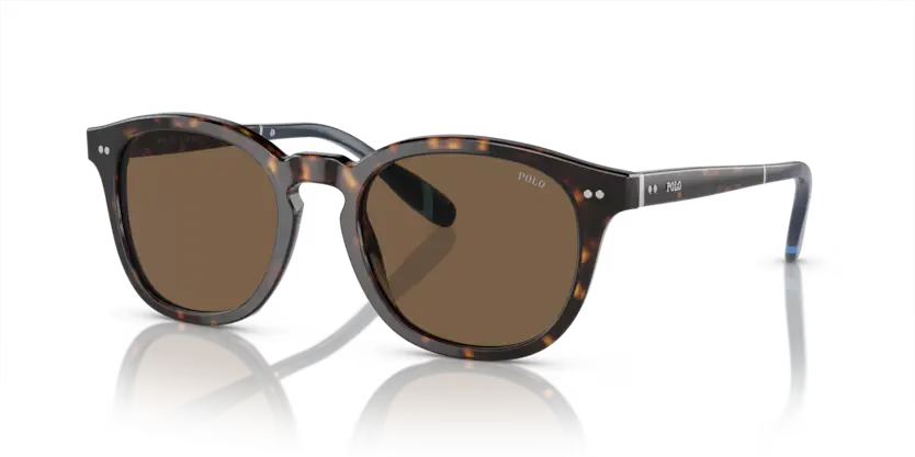 Polo Ralph Lauren Sunglasses Phantos Havana Frame PH4206 500373