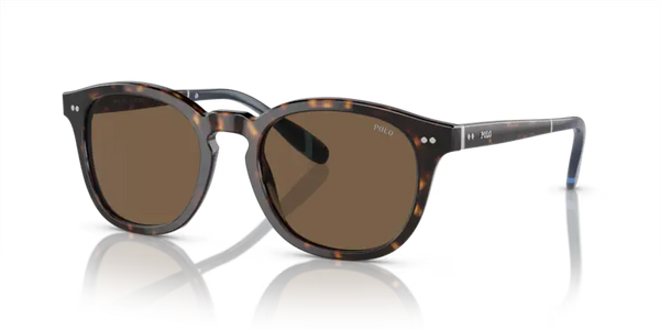 Polo Ralph Lauren Sunglasses Phantos Havana Frame PH4206 500373