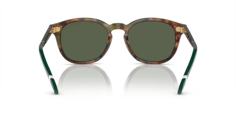Polo Ralph Lauren Sunglasses Phantos Tortoise Frame Green Polarised PH4206 50179A