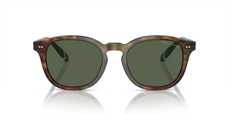 Polo Ralph Lauren Sunglasses Phantos Tortoise Frame Green Polarised PH4206 50179A