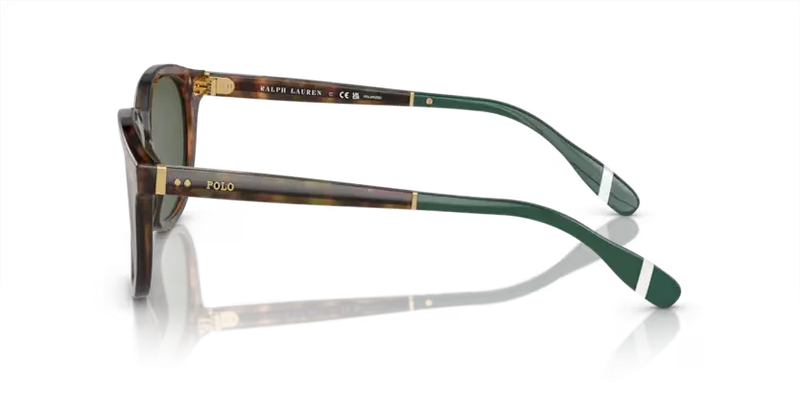 Polo Ralph Lauren Sunglasses Phantos Tortoise Frame Green Polarised PH4206 50179A