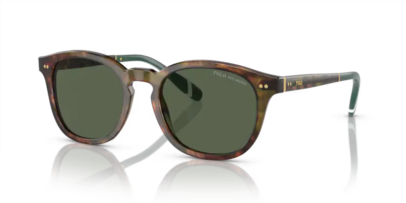 Polo Ralph Lauren Sunglasses Phantos Tortoise Frame Green Polarised PH4206 50179A