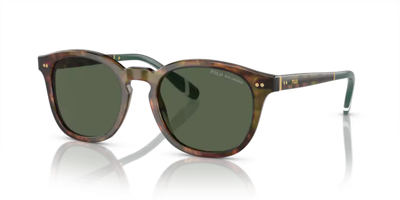 Polo Ralph Lauren Sunglasses Phantos Tortoise Frame Green Polarised PH4206 50179A