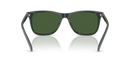 Polo Ralph Lauren Sunglasses Dark Green PH4220U 614071 Polo Ralph Lauren