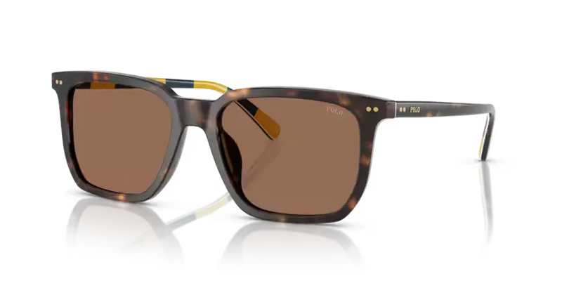 Polo Ralph Lauren Sunglasses Square Havana Frame PH4224U 500373