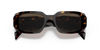 Prada Ladies Tortoise Sunglasses PR 17WS 2AU8C1 Prada