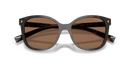 Prada Ladies Tartaruga Radica Sunglasses PR 22ZS 17N06B Prada