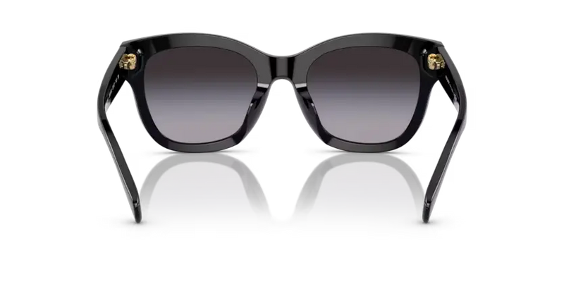 Ralph by Ralph Lauren Sunglasses Black RA5301U 50018G