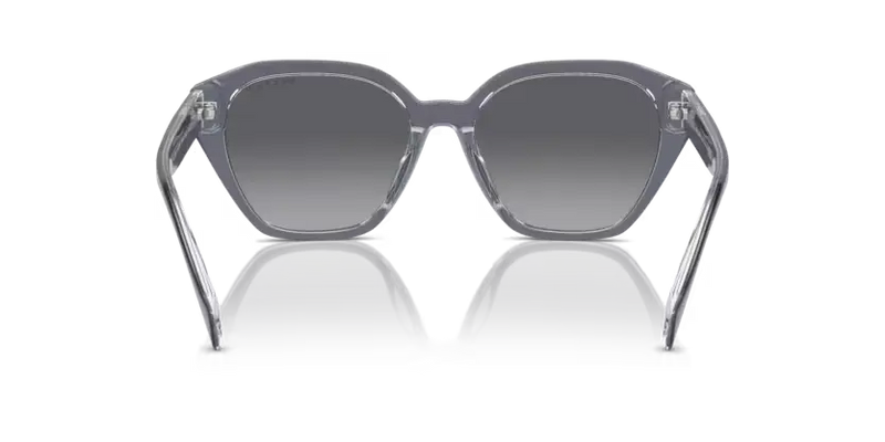 Ralph by Ralph Lauren Sunglasses Transparent Grey Polarised RA5315U 6187T3