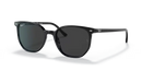 Ray-Ban New Elliot Sunglasses Black Frame Polar Black Lens RB2197 901/48