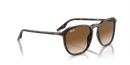 Ray-Ban Sunglasses Square Havana RB2203 902/51 Ray-Ban