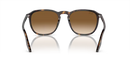 Ray-Ban Sunglasses Square Havana RB2203 902/51 Ray-Ban