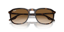 Ray-Ban Sunglasses Square Havana RB2203 902/51 Ray-Ban