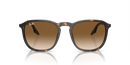 Ray-Ban Sunglasses Square Havana RB2203 902/51 Ray-Ban