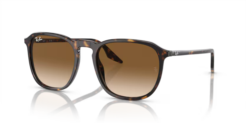 Ray-Ban Sunglasses Square Havana RB2203 902/51