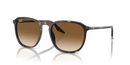 Ray-Ban Sunglasses Square Havana RB2203 902/51 Ray-Ban