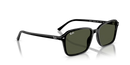 Ray-Ban Raimond Sunglasses Black Green RB2231 901/31 Ray-Ban