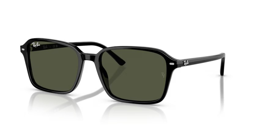 Ray-Ban Raimond Sunglasses Square Black Frame Green Lens RB2231 901/31