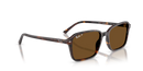 Ray-Ban Raimond Sunglasses Square Havana RB2231 902/57 Ray-Ban