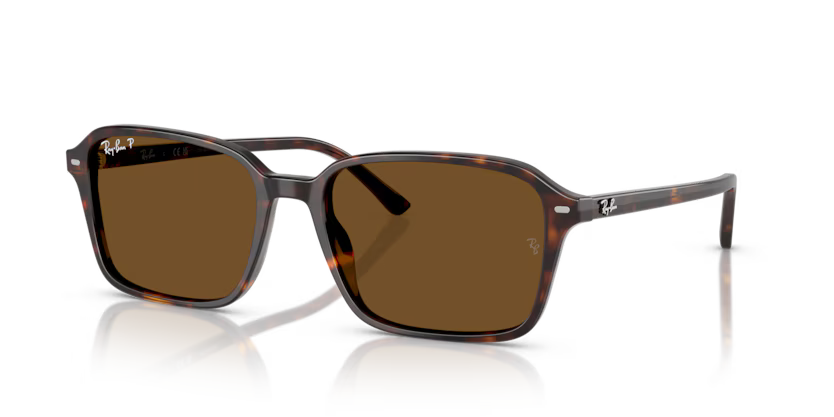 Ray-Ban Raimond Sunglasses Square Havana RB2231 902/57 Ray-Ban