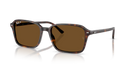 Ray-Ban Raimond Sunglasses Square Havana RB2231 902/57 Ray-Ban
