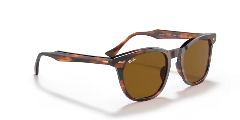 Ray-Ban Hawkeye Sunglasses Square Striped Havana RB2298 954/33