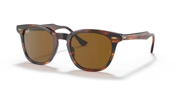 Ray-Ban Hawkeye Sunglasses Square Striped Havana RB2298 954/33